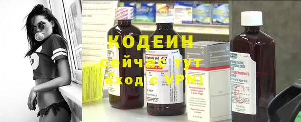 молекула духа Кулебаки