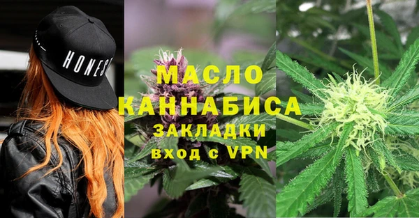 молекула духа Кулебаки