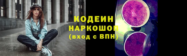 молекула духа Кулебаки