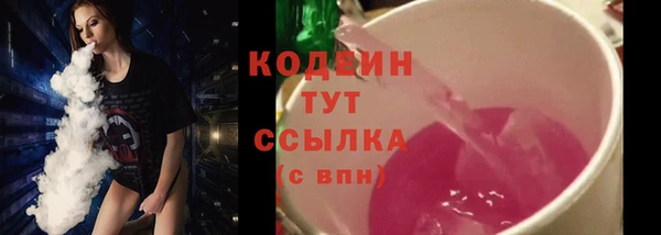 молекула духа Кулебаки
