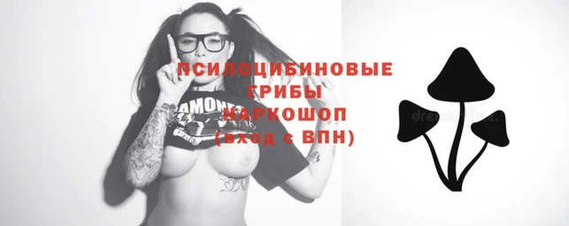 jwh Куйбышев