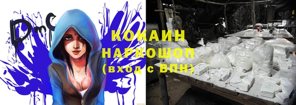молекула духа Кулебаки