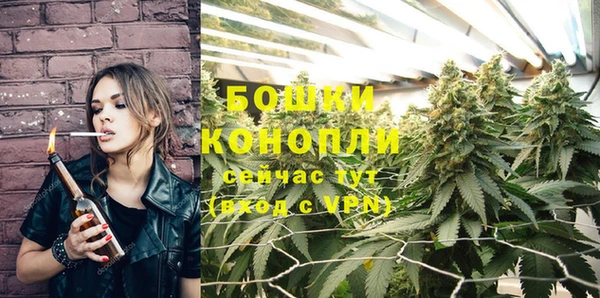 молекула духа Кулебаки