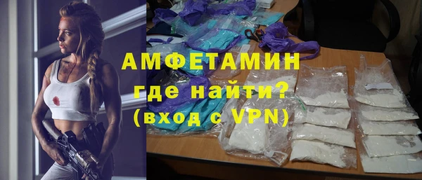 молекула духа Кулебаки